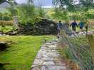 Local walk