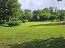 Beautiful lawn