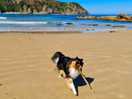 Tempi fue feliz en la playa de amió