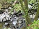Torrent walk