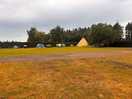 South field