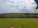 Wildlife watching