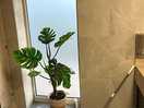 Homely feel to the facilities