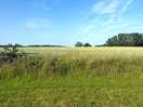 View from van over fields