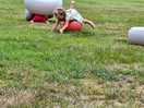 Kids have fun activities