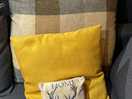 Cute pillows