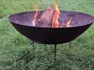Provided fire pits and reasonably priced logs/kindling