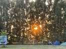 Beautiful sunsets