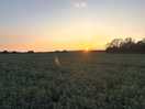 Sunset over the site