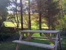 Secluded camping view from your picnic table.