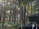 Roof tent