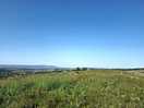 Views from the site