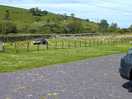 View from site