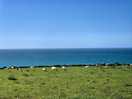 Views just outside the site on the walk to the coastal path