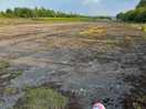 The airfield perfect for nature watching