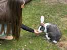 Feeding