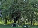 Tent area