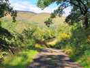 Great western walk