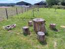 Fire pit and seating area