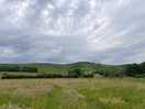 View from the pitches
