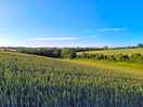 Looking back to our van on a walk round the field