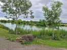 One of the fishing lakes