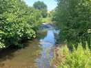Nearby brook