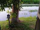 River side pitches