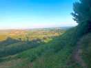 Local hill