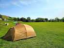 Campsite