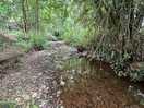 Stream on site