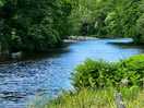 View of river