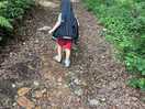 Grandson loved the walks