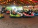 Bumper cars