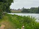 Castle howard great lake