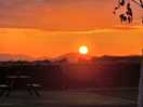 Walk with the sundowner