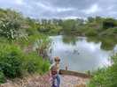 Fishing pond at the site