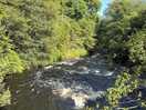 Nearby river, saw lots of people canoeing