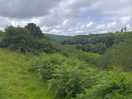 Lovely walks