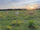 Amazing rural location with fabulous sunset views