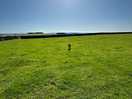 Huge field