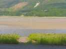 View at estuary