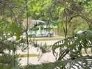 Tranquil site