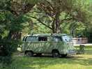 Our old vw camper amongst the trees in the main field