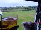 Enjoying view with the dog