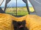 View from tent