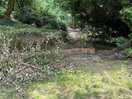 Japanese garden onsite