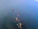 Longships lighthouse