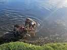 Cooling off
