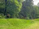 Local site